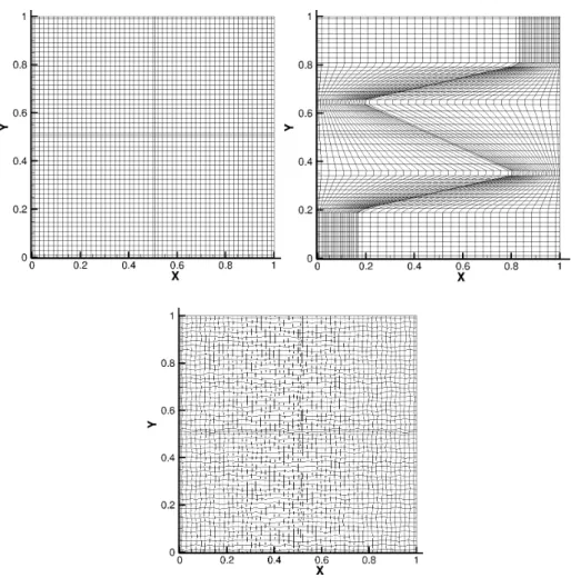 Fig. 4.1.1 Orthogonal, anisotropically skewed and randomly distorted grids, partitioned with 4 sub- sub-blocks