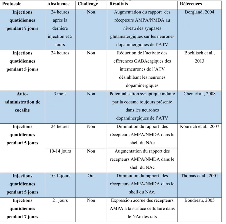 Tableau 2 : Tableau regroupant différentes études montrant l’effet des expositions chroniques à la cocaïne  sur la plasticité synaptique.