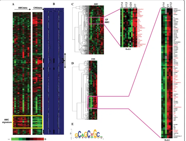 Figure 2 Gene expression analyses. (A) Hierarchical clustering of 5950 genes for a total of 17 samples relative to the larval AMC and CNS of the different prosV mutants