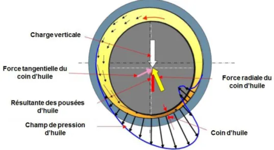 Figure 2.1-1 : Forces hydrodynamiques et distribution de pression dans un palier   (image issue de [32]) 