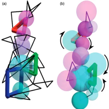 Figure 6. (Colour online) (a) A 5-force chain and its local contact n-cycle membership, from the ESb-S sample