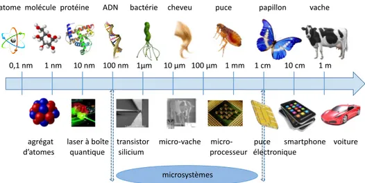 Figure 1.4: Échelle des dimensions et comparaison entre le vivant et les technologies.