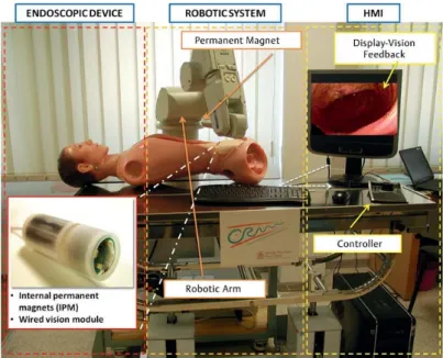 Figure 1.11 – Manipulation d’une capsule magnétique par un aimant per- per-manent positionné sur un bras robotique [CDV + 10].