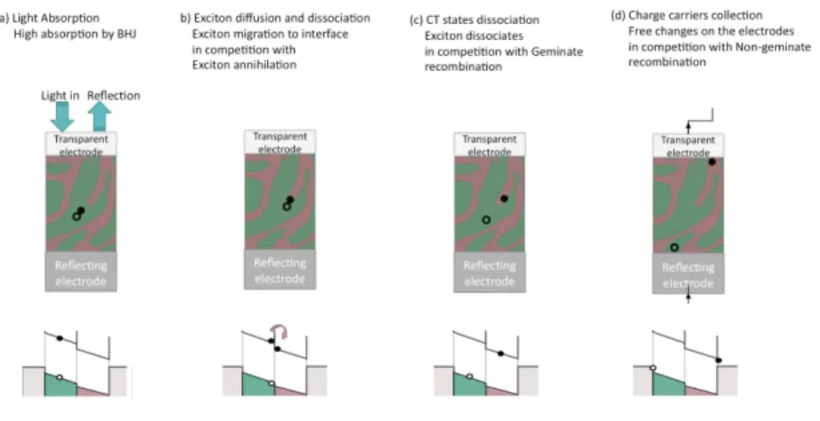 Figure 4.6 – Working principle of bulk heterostructures organic photovoltaic cells in presence of an internal electric field