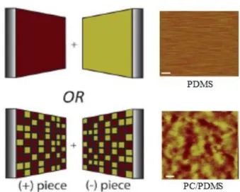 Figure I-20. Surface charge mosaic the scenario and results PC against PDMS [110]. 
