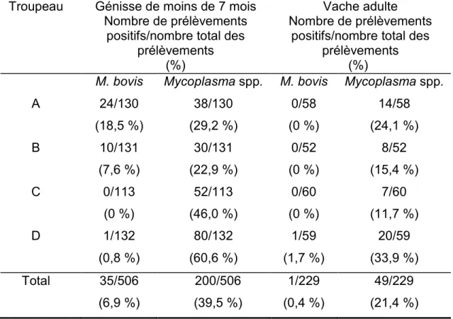 Tableau III : Proportions des prélèvements positifs à M. bovis et à Mycoplasma  spp. 