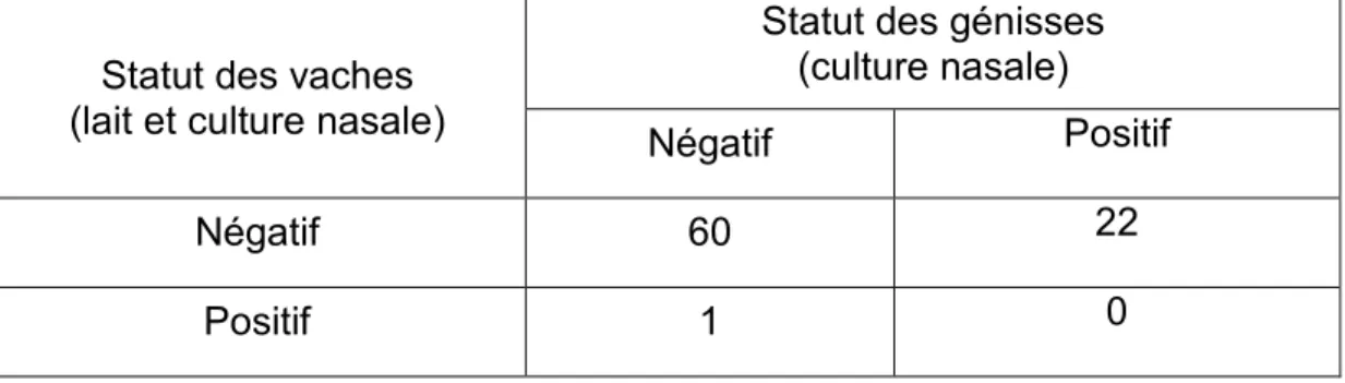Tableau VI :  Résultats de la concordance entre le statut des vaches adultes (en lait et  culture nasale) et le statut des génisses (en culture nasale) à M