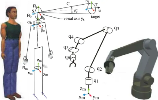 Figure 6. Example of joint limits and visibility capacity of a  manikin and of a film camera