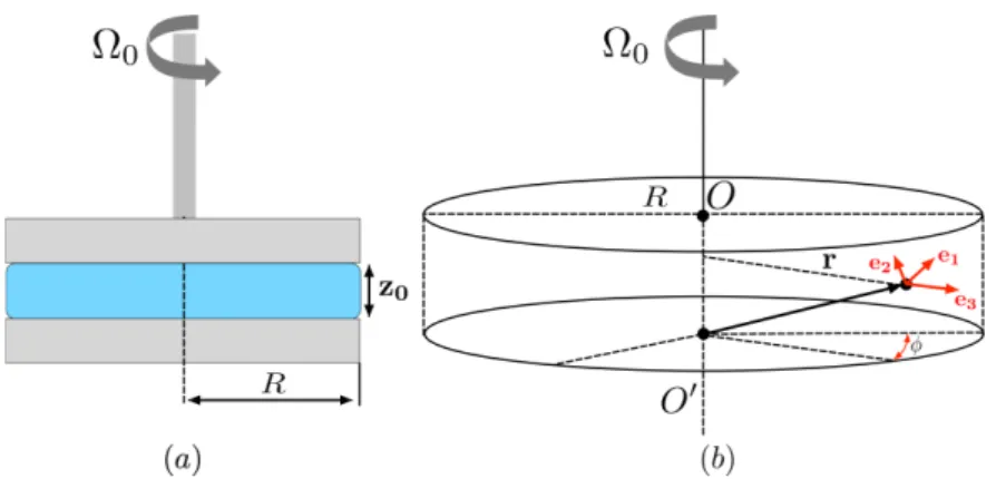 Figure 4. (a) Schematic representation of the parallel plate setup. (b) Choice of the cylindrical coordinates.