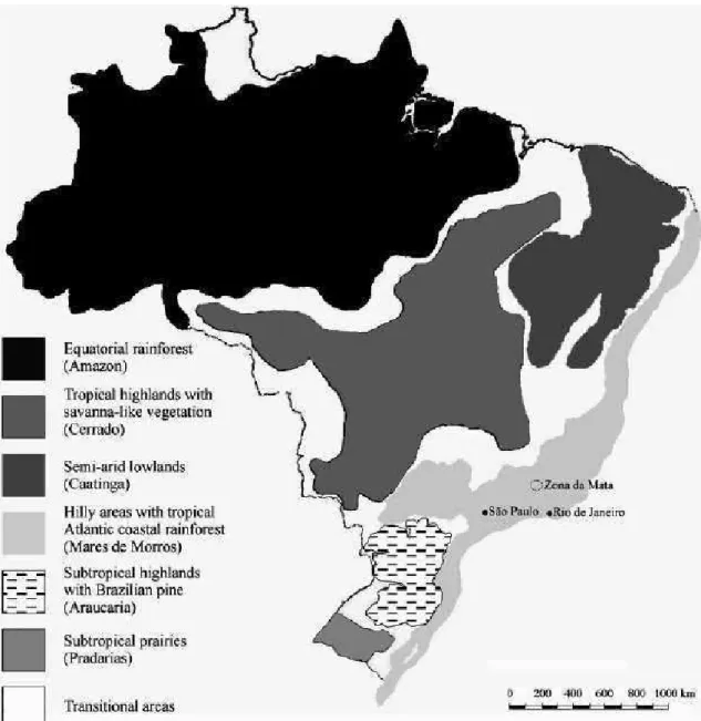 Figure 4. Morphoclimatic domains of Brazil (adapted from Aziz Ab'Saber, 1969). 