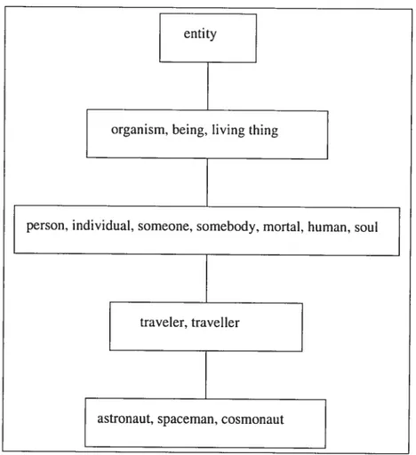 FIG. 2.2 — Les hyperonymes du nom “astronaut” dans WordNet