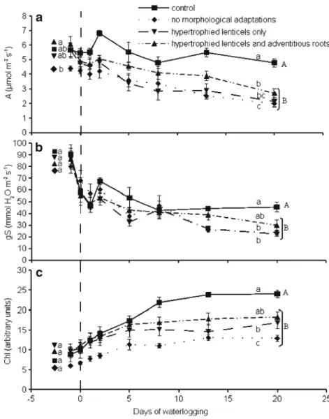 Fig. 3 Correlation between the stem growth (relative stem increment, RSI) and the initial assimilation rate (initial A)