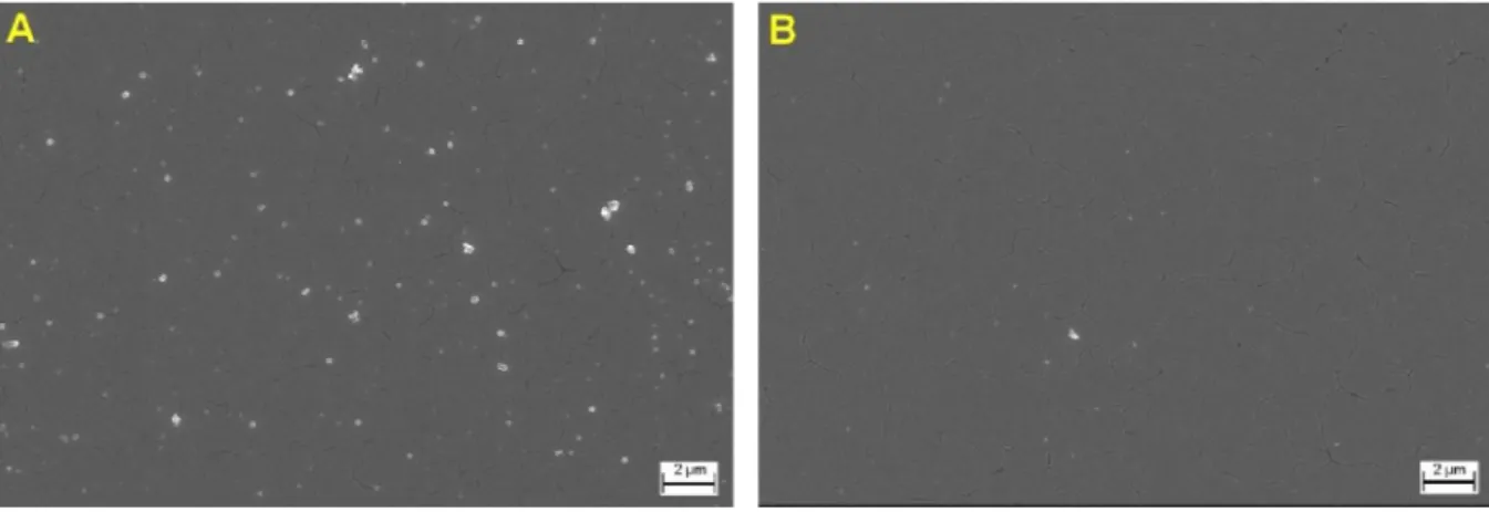 Figure 6. SEM micrographs of the PDA-24h films formed on gold subtract (A) before and (B)  after immersion for 20 minutes in a 1 mM NaOCl solution pH 10