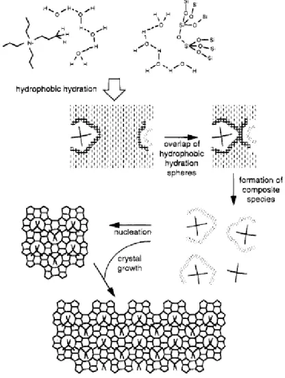 Figure I.12: Mécanisme de synthèse de la zéolithe Silicalite-1 (MFI) en présence du cation  tétrapropylammonium, tel que proposé par Burkett et Davis 61