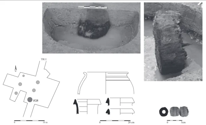 Fig. 4 : Occupation de La Tène D1