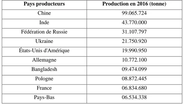 Tableau N° 1: Les principaux producteurs de pomme de terre au monde (FAOSTAT,  2016) 