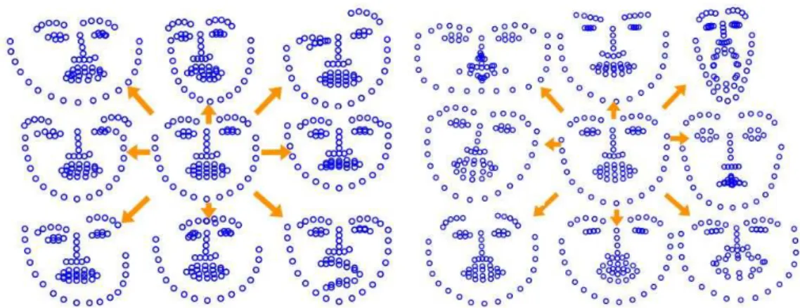 Figure 2.5 Mean shape and deformable models for tree based SVM (left) and AAM (right).