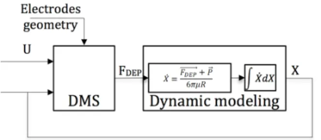 Fig. 2. A dynamic modeling and DMS are used to compute the micro- micro-bead’s 3D trajectory.