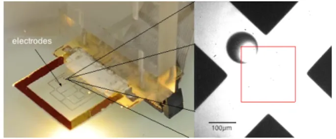 Fig. 5. The real trajectory of the micro-bead when applying the computed u x and u y 