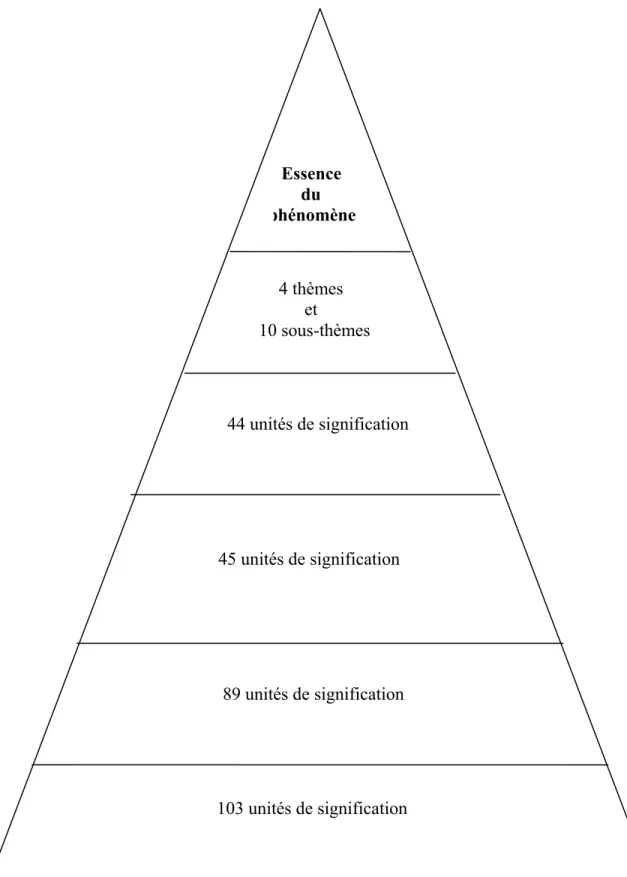 Figure I : Les étapes de Giorgi (1997) conduisant à l’essence du phénomène  89 unités de signification          45 unités de signification   44 unités de signification 4 thèmes et   10 sous-thèmes Essence du phénomène     103 unités de signification 