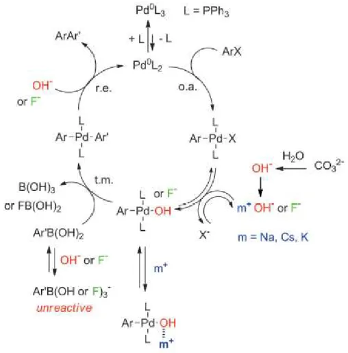 Figure 14 shows the catalytic cycle  of the palladium catalysed Suzuki-Miyaura reaction  where inorganic base and ligand were used