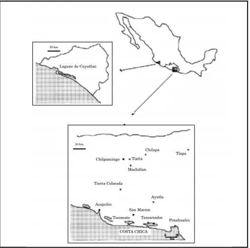 Figure  1 :  Localisation  des  zones  d'études :  lagune  de  Cuyutlan  (Etat  de  Colima)  et lagunes de Tecomate et Chautengo dans la Costa Chica (Etat du Guerrero).