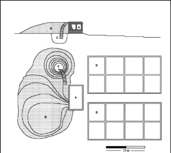 Figure 2 : Plan des salines de Cuyutlan : A) tapextle, B) monticules de terres lixiviées, C) puits d'accès à l'aquifère, D) bassins d'évaporation (extrait de Reyes, 1996b, fig