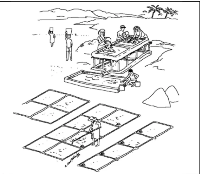 Figure  3 :  Dessin  des  salines  de  la  Costa  Chica  (extrait  de  Quiroz  Malca,  1995, Ilustración 2)