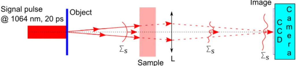 Figure 4. Single-pass experiment.