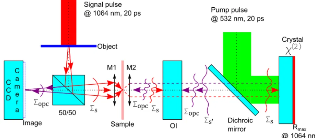 Figure 6. Phase-conjugation experimental setup with microscope objectives.