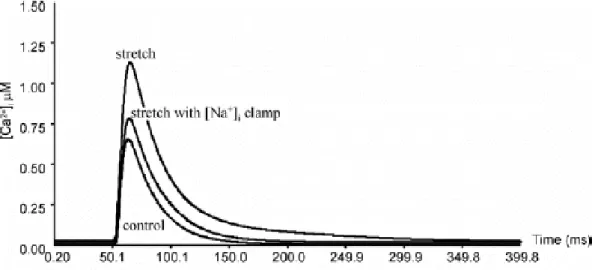 Figure  18 :  Effets  de  la  [Na] i   sur  le  modèle  de  prédiction  des  transitoires  calciques