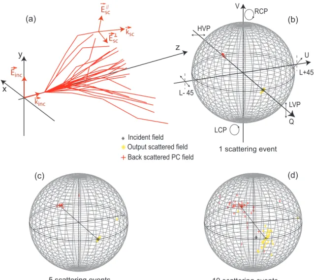 Figure 7. (a) Typical scattering paths when 5 scattering events are considered. (b to d) Representations of the normalized Stokes parameters [Q, U, V ] on the Poincar´e sphere of the output scattered fields (yellow stars) and the back-scattered phase conju