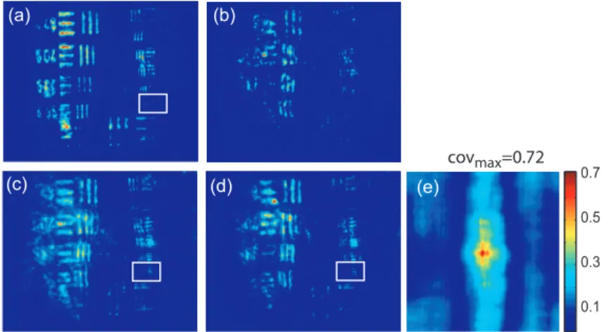 Figure 5. Resolution limits through 0.7 mm thick Parma ham slice : (a) PC image through the clean microscope slide, (b) PC image through static biological tissue