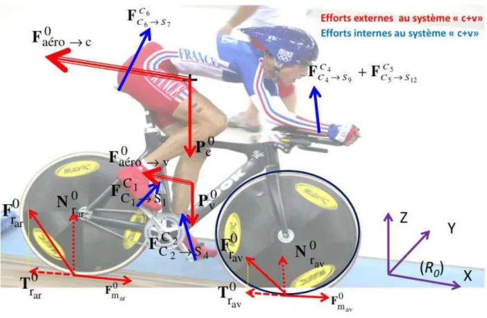 Figure 1 : Efforts internes (bleu ) et externes (rouge) qui s’exercent sur le système «  cycliste +   vélo »