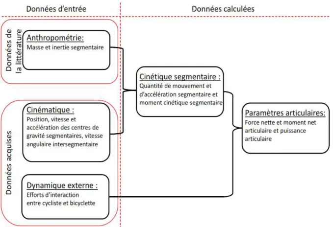 Figure 4 : Organigramme des différentes étapes de calcul  : des paramètres d’entrée aux  paramètres articulaires