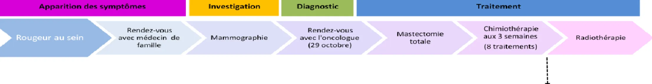 Figure 7.  La trajectoire de soins de Madame Camille. 