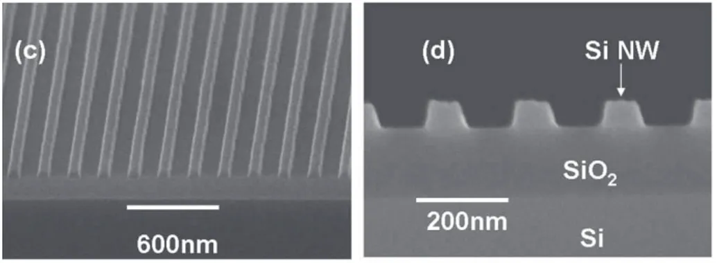 Figure 6 : Clichés MEB de nanofils de silicium réalisés par nano-impression thermique d’après [6] 
