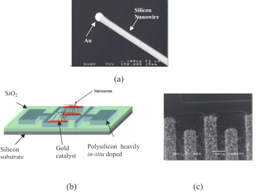 Figure 15 : nanofils de silicium synthétisés au Groupe Microélectronique par la technique VLS  (catalyseur or) à une température de 460°C (a), représentation schématique (b) et cliché MEB (c) 