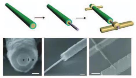 Figure 23 : Diode PIN à base de nanofil de silicium coaxial pour une cellule solaire. D’après [38]  