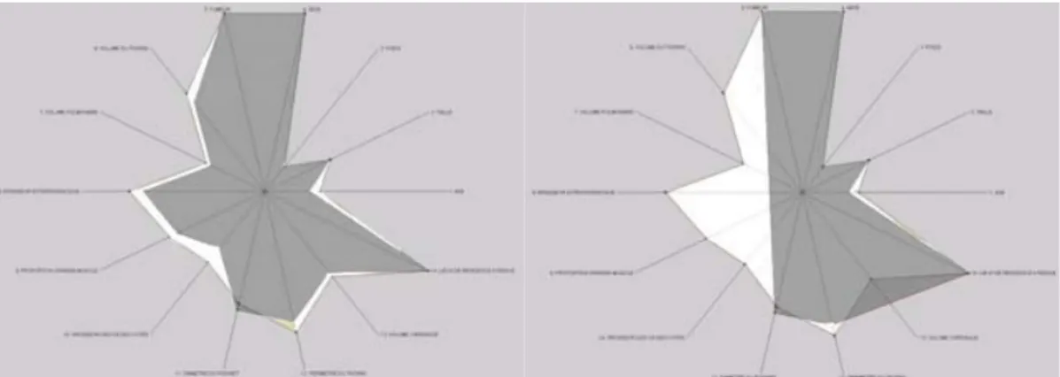 Figure 2. ReEPh graphical comparison of the victim case (1&amp;2) with the model case 1