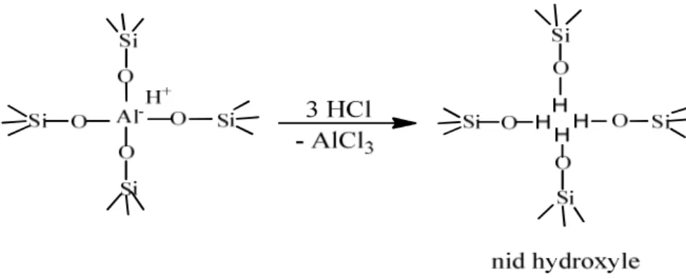 Fig. I. 2: Formation de nids hydroxyles par traitement de désalumination en milieu acide [4] 