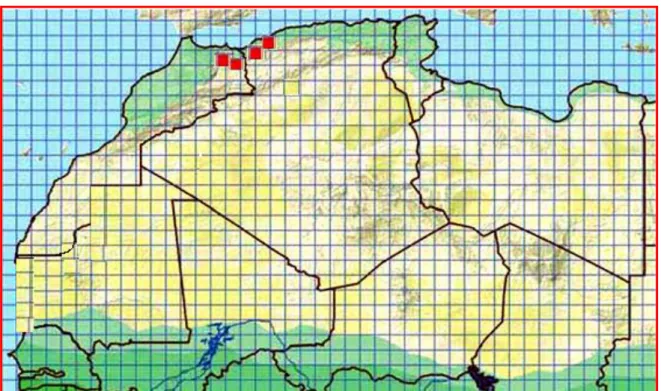 Figure 07 : Répartition géographique de l’espèce A. savignyi en Afrique du Nord d’après  (Trape et al., 2012)