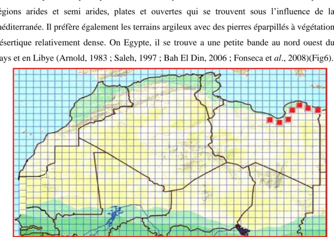 Figure 08 : Répartition géographique des espèces du groupe A. pardalis en Afrique du Nord  (Trape et al., 2012)