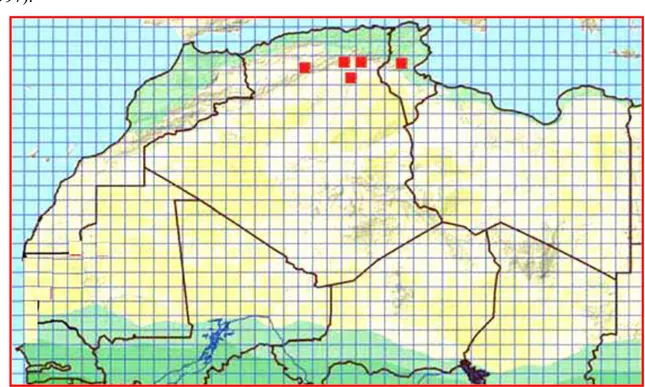Figure 11: Répartition géographique de l’espèce A.bedraigai en Afrique du Nord (Trape et  al., 2012)