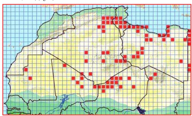 Figure 18: Répartition géographique de l’espèce A. scutellatus en Afrique du Nord  (Trape et al., 2012)