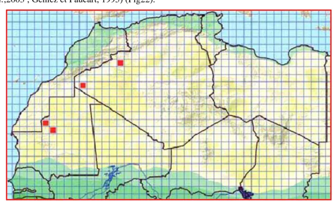 Figure 24:Répartition géographique de l’espèce A. taghitensis en Afrique du Nord  (Trape et al., 2012)