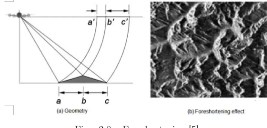 Fig. 2.8 – Foreshortening [5]