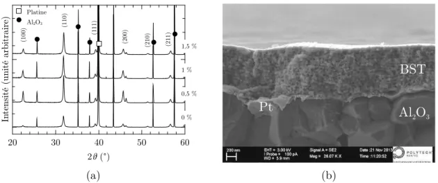 Figure 2.3 – Diagrammes de diffraction aux rayons X pour différents taux de dopant des couches minces de BST (a) et exemple de coupe transversale obtenue au MEB (b).