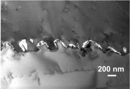 Figure 7 : Image MET du Ha230 mettant en évidence un joint de grain dentelé contenant des  carbures (en clair) de type M 23 C 6  [77] 