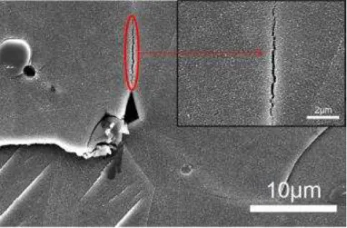 Figure 32 : Micrographie (MEB SE) de la surface du Ha230 N4h-400°C mettant en évidence  la p se e d’e do age e t i te g a ulai e